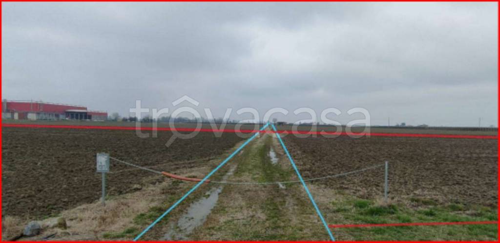 immagine annuncio 4 di 12