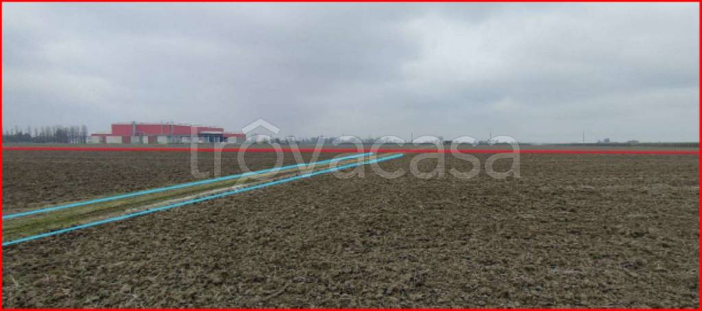 immagine annuncio 5 di 12