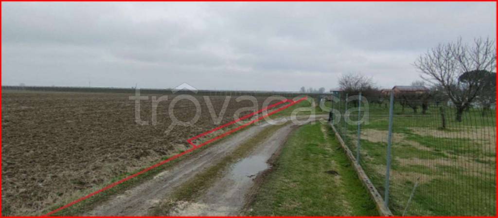 immagine annuncio 6 di 12