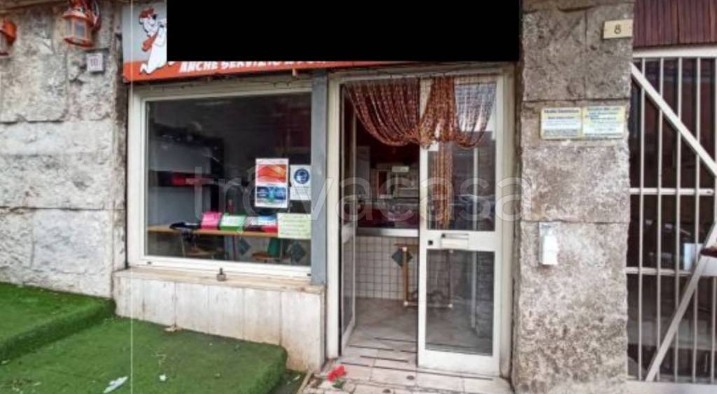 immagine annuncio 1 di 12