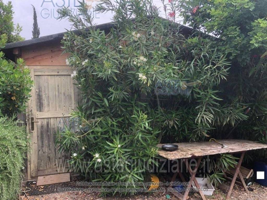 immagine annuncio 5 di 7