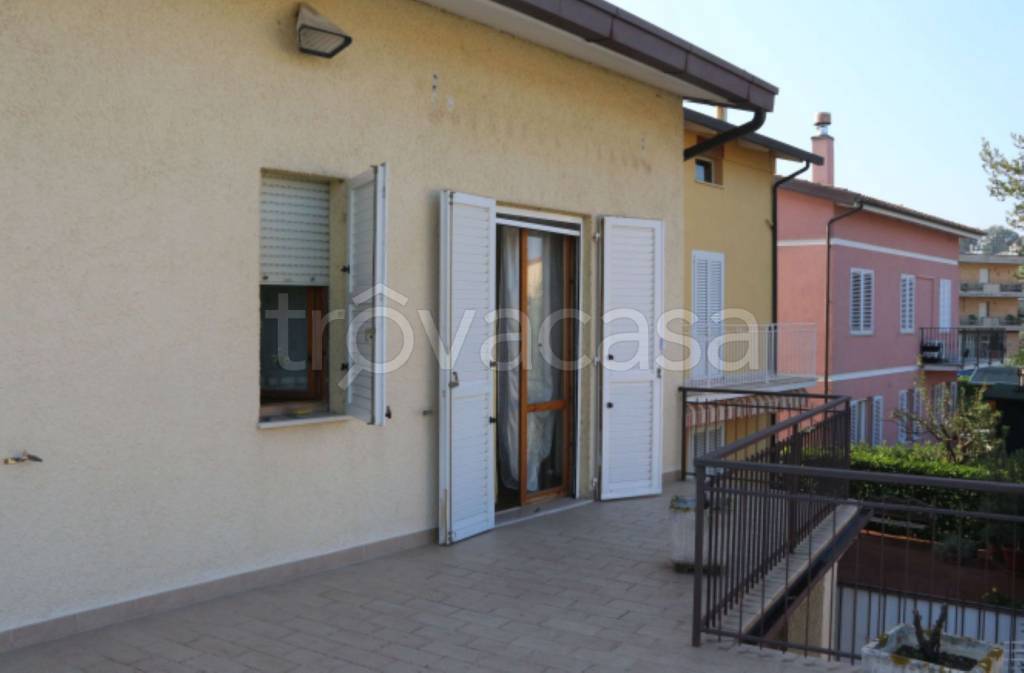 immagine annuncio 5 di 14