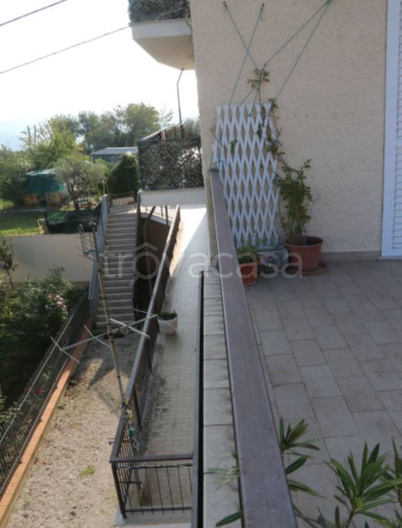 immagine annuncio 7 di 14