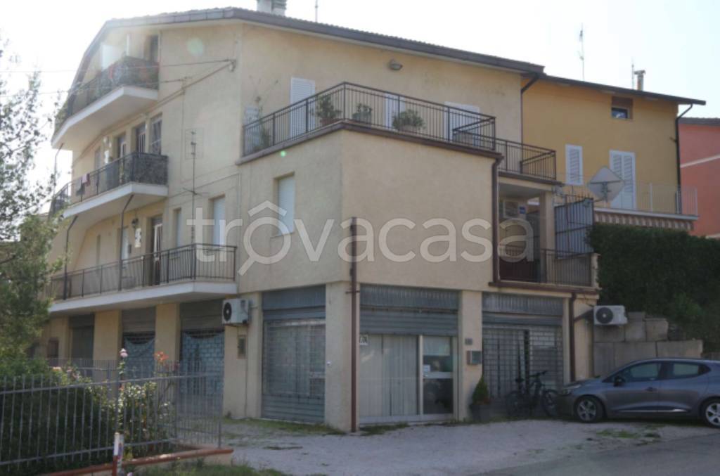 immagine annuncio 10 di 14