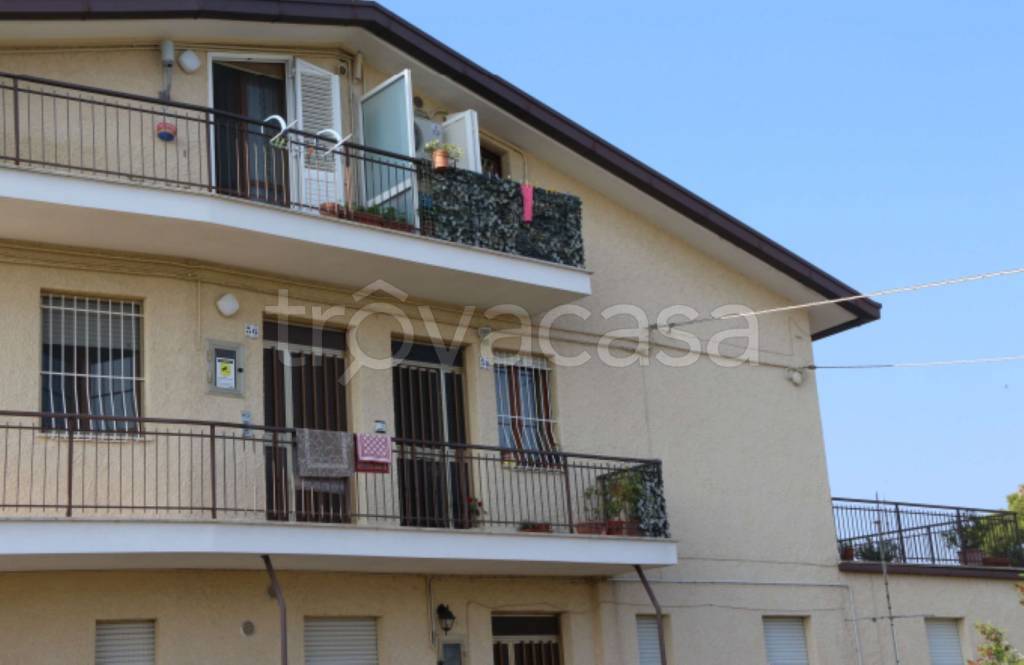 immagine annuncio 12 di 14