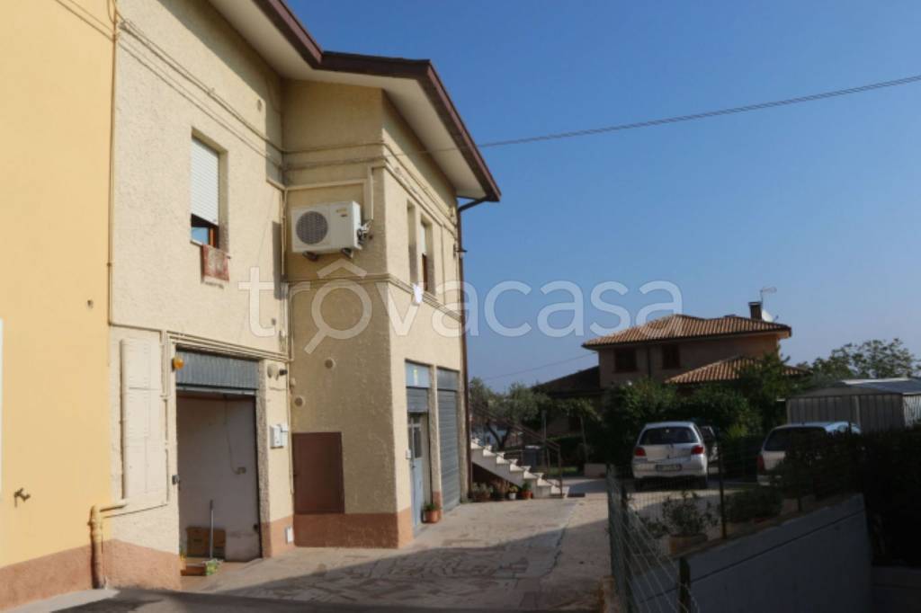 immagine annuncio 3 di 14