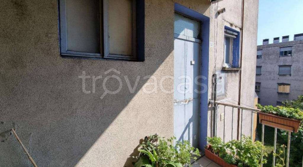 immagine annuncio 4 di 11