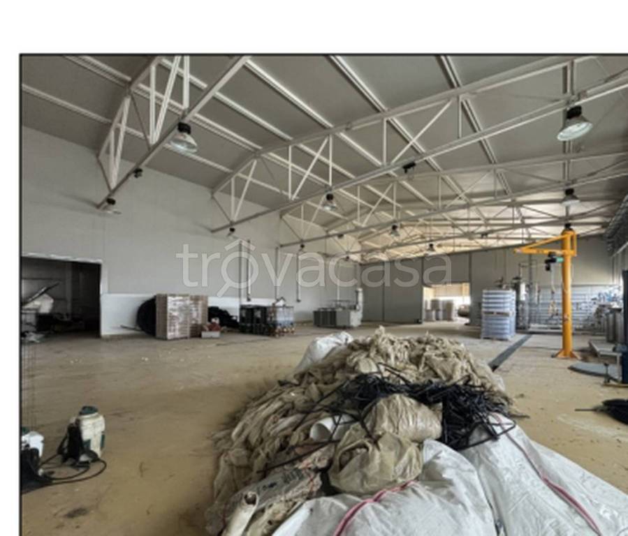 immagine annuncio 9 di 11