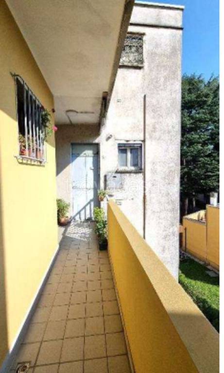 immagine annuncio 5 di 11