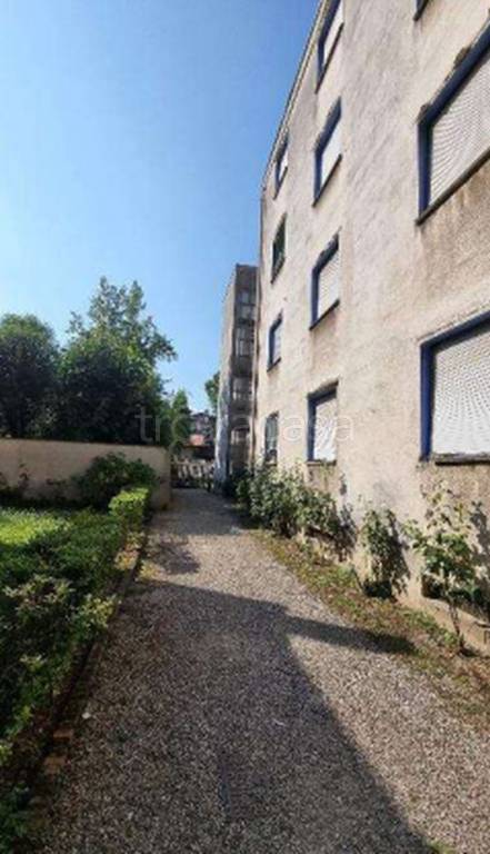 immagine annuncio 7 di 11