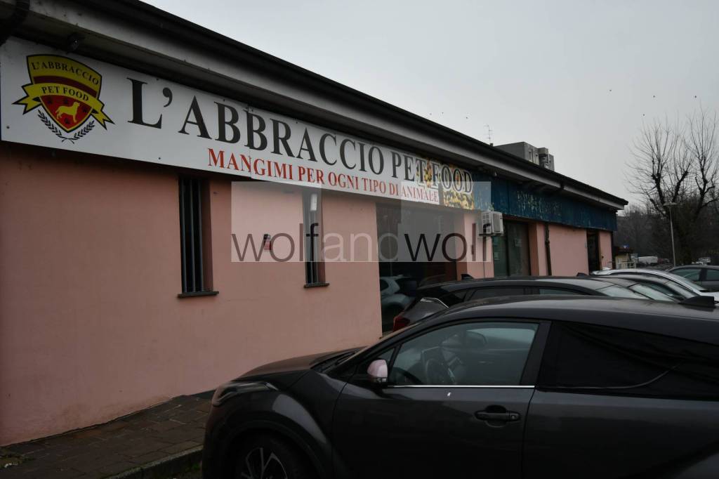 immagine annuncio 13 di 15