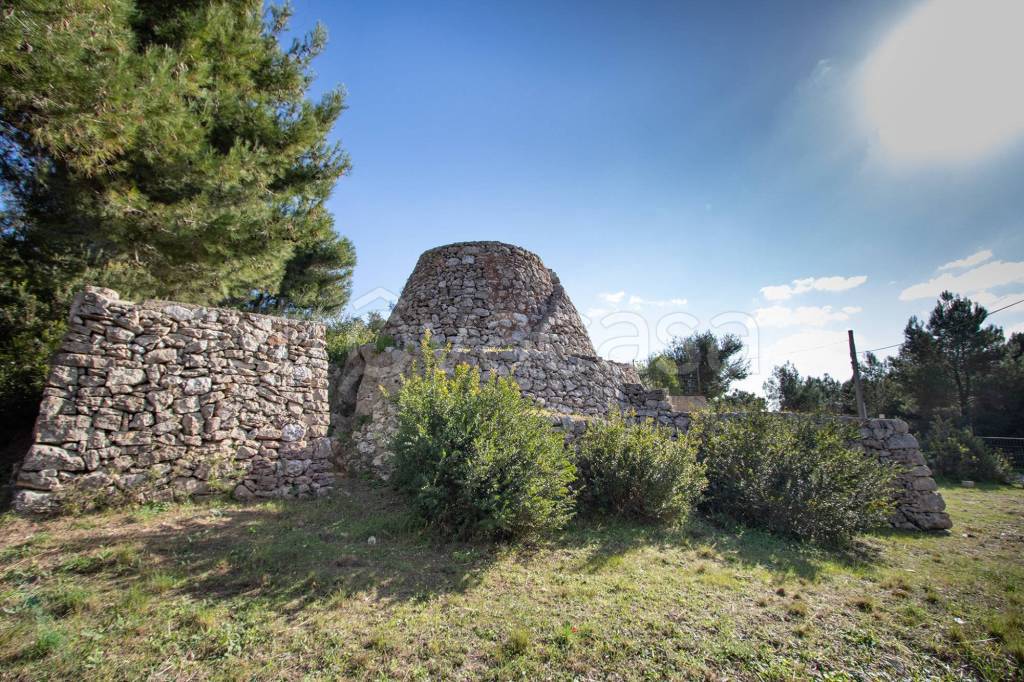 immagine annuncio 2 di 11