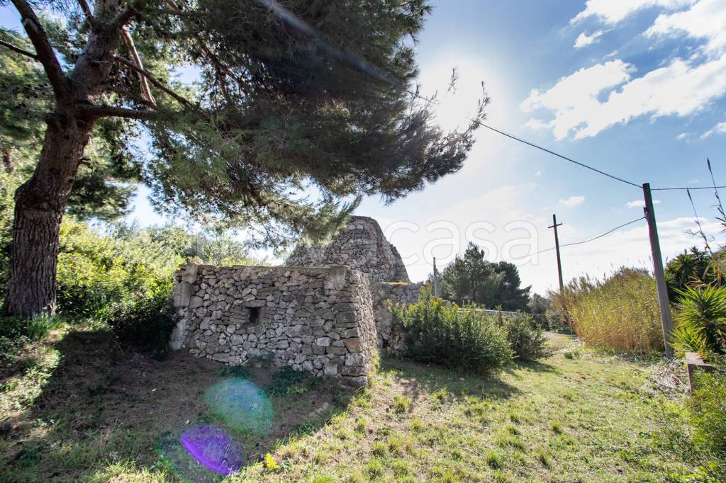 immagine annuncio 3 di 11