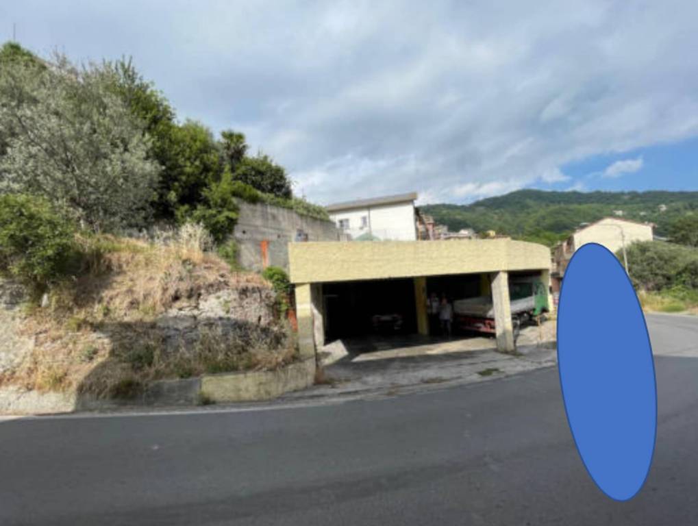 immagine annuncio 9 di 11