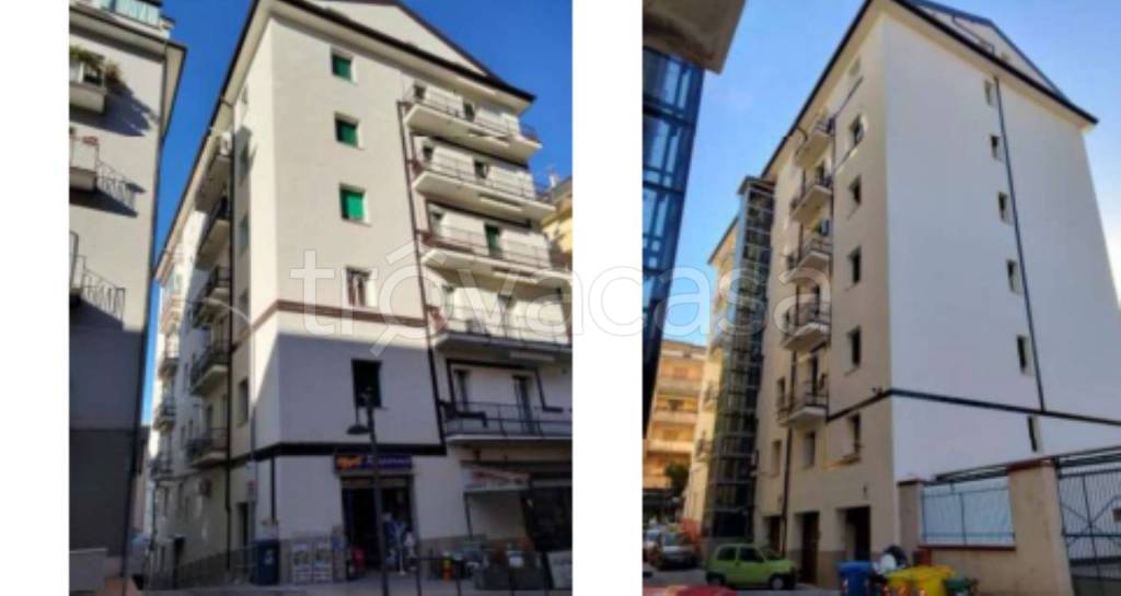 immagine annuncio 2 di 12