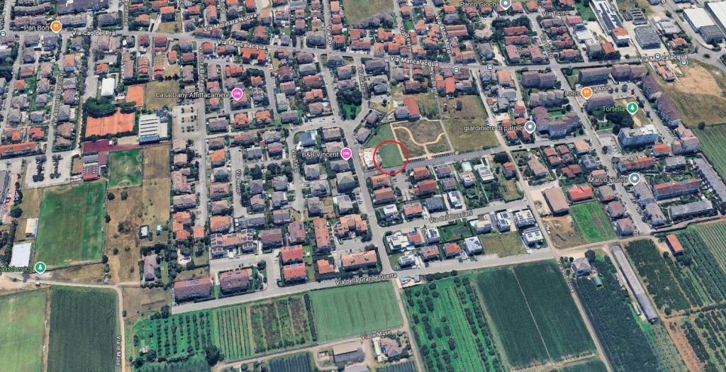 immagine annuncio 2 di 12