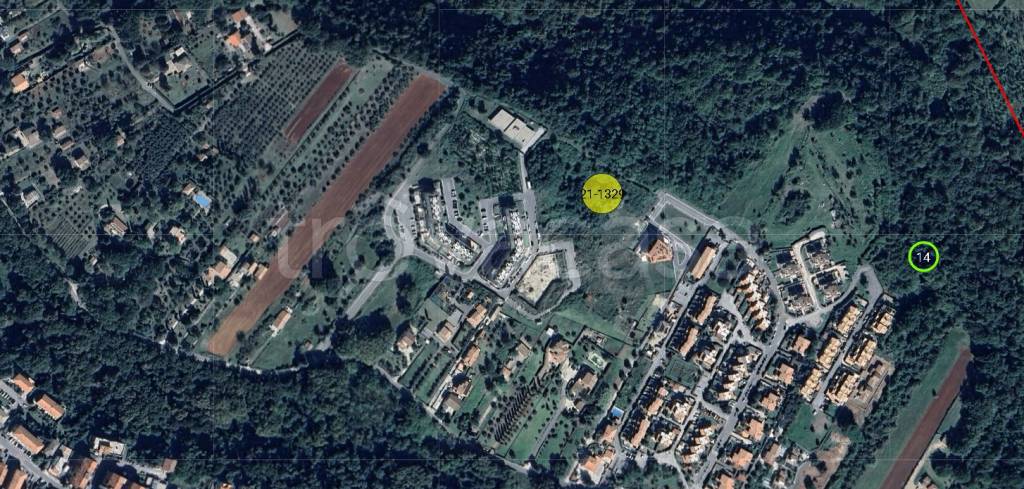 immagine annuncio 4 di 11