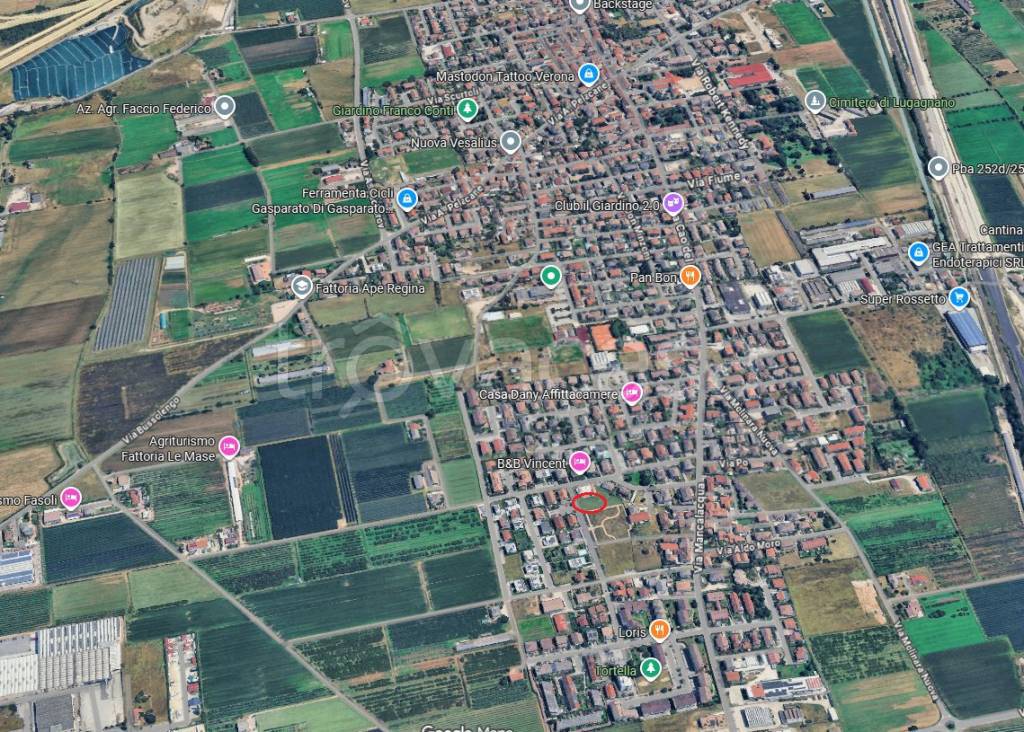 immagine annuncio 2 di 11