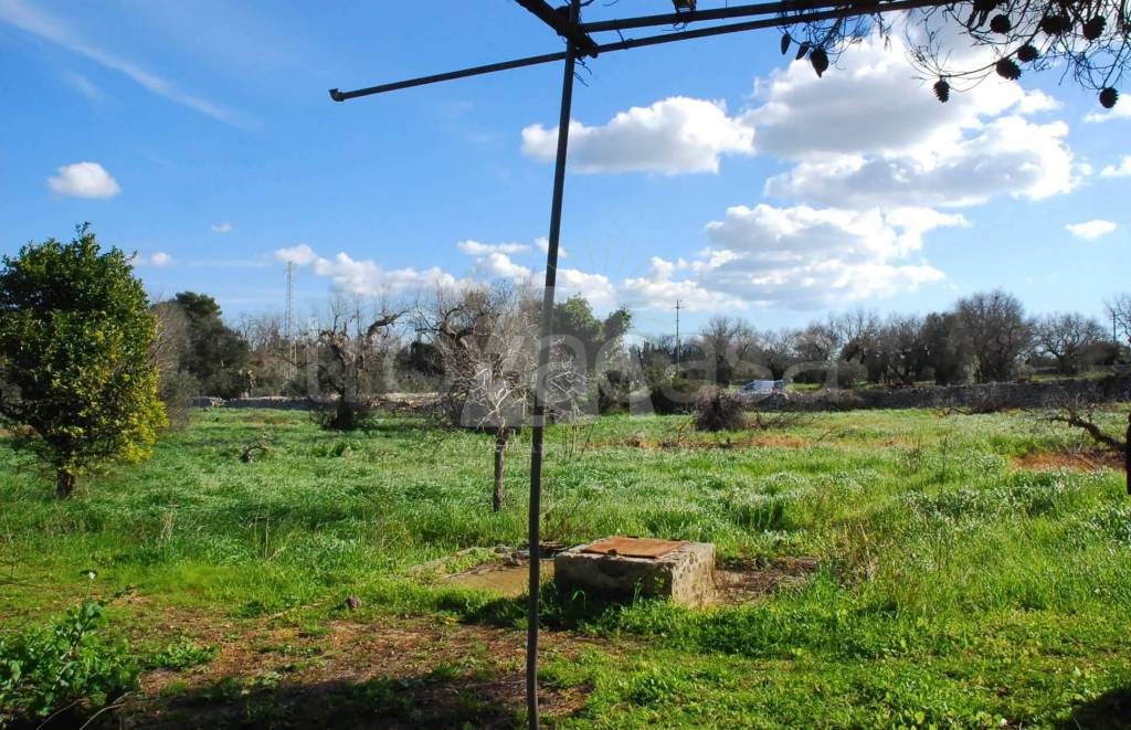 immagine annuncio 4 di 6