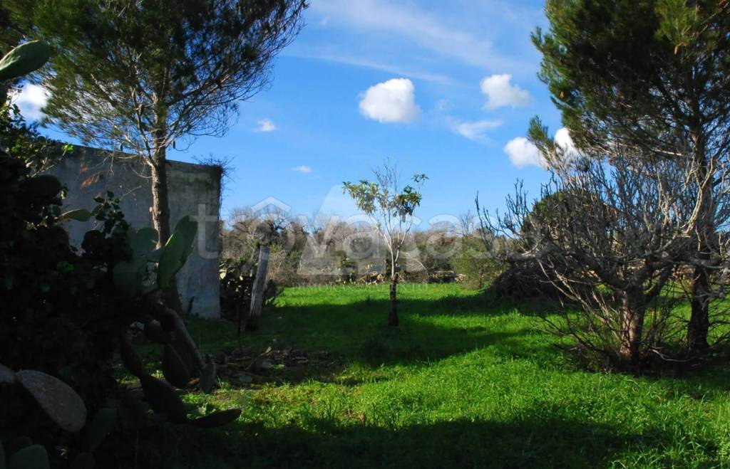 immagine annuncio 2 di 6