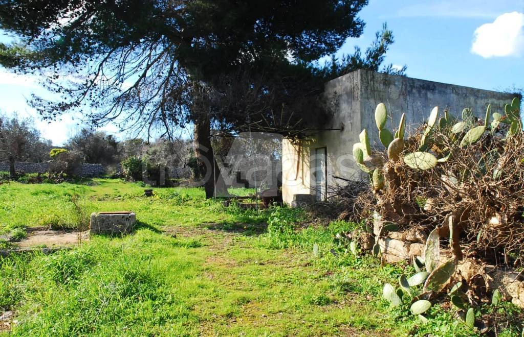 immagine annuncio 5 di 6