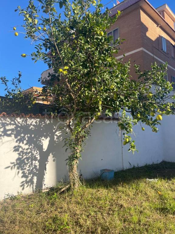 immagine annuncio 8 di 11