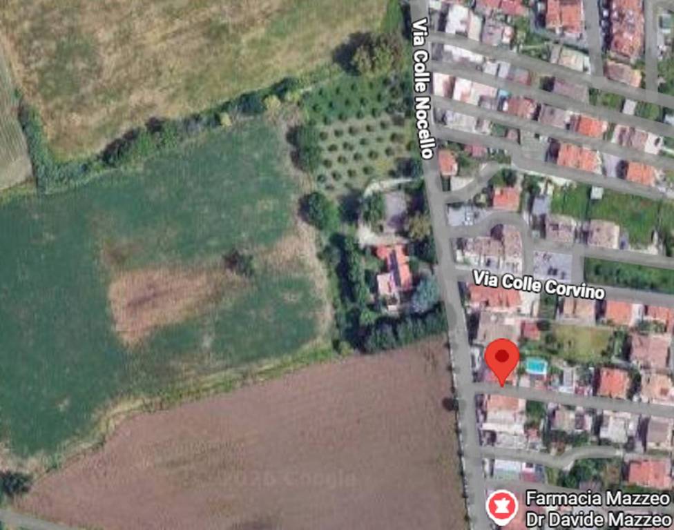 immagine annuncio 3 di 11