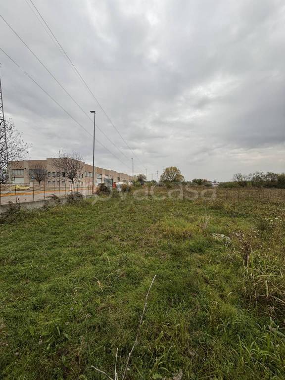 immagine annuncio 4 di 10