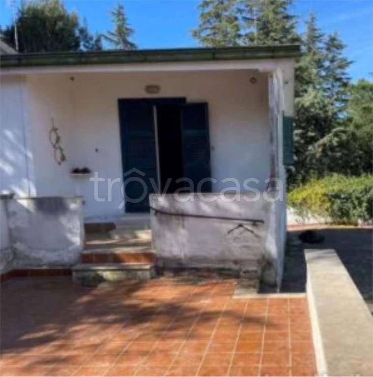 immagine annuncio 3 di 11