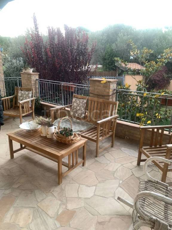 immagine annuncio 6 di 12