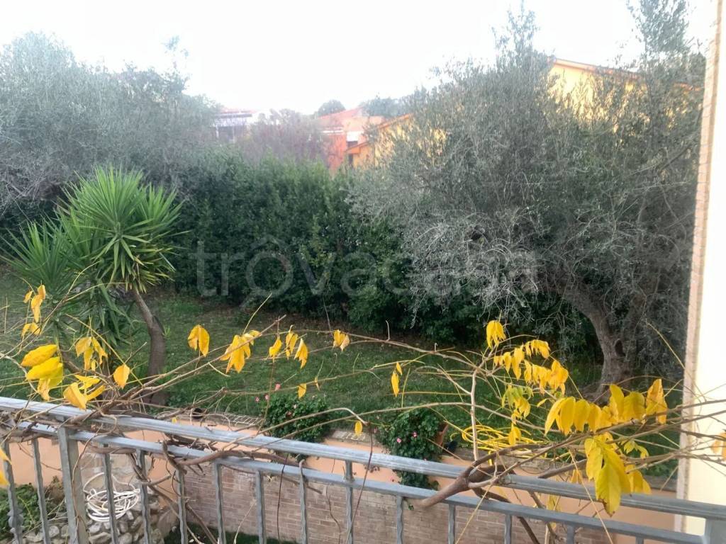 immagine annuncio 9 di 12