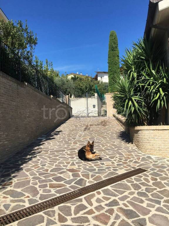 immagine annuncio 6 di 12