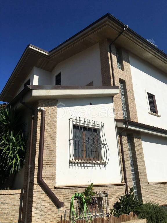 immagine annuncio 10 di 12