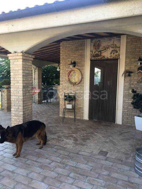 immagine annuncio 11 di 12