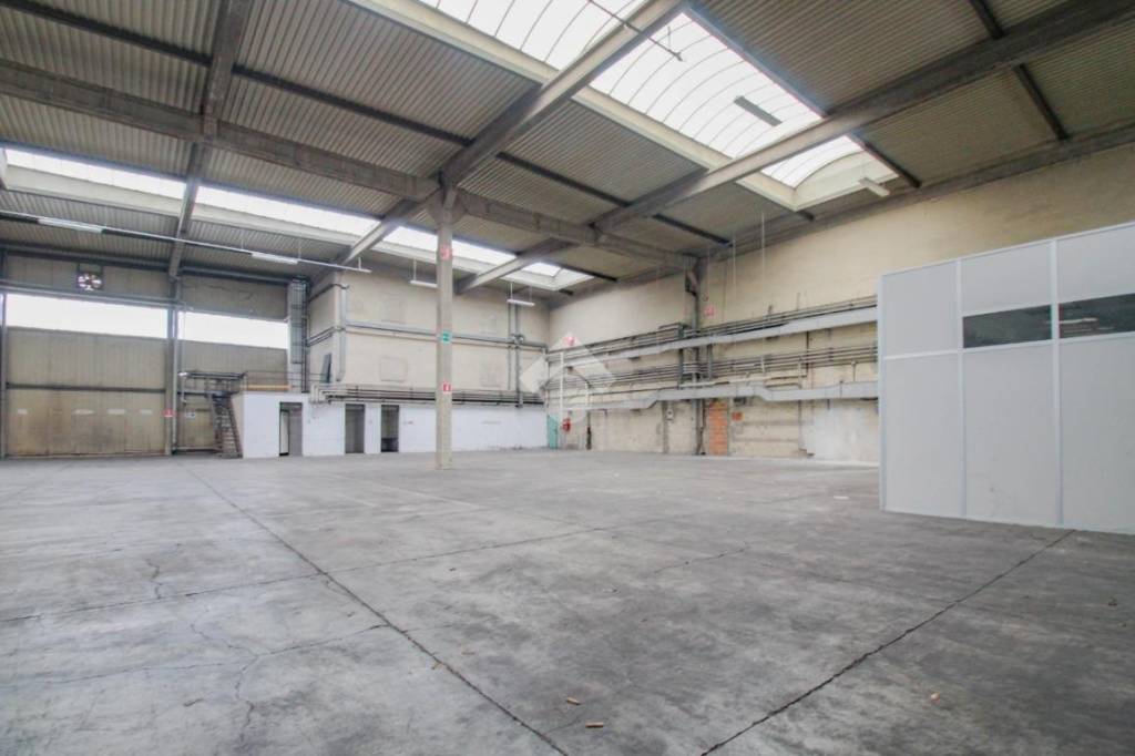 immagine annuncio 9 di 15