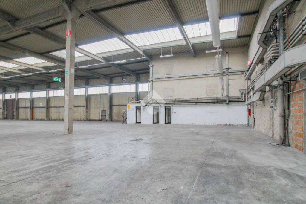 immagine annuncio 11 di 15