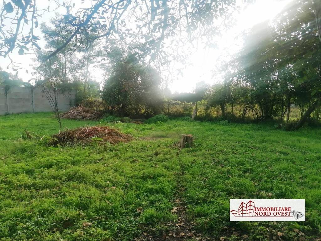 immagine annuncio 2 di 8