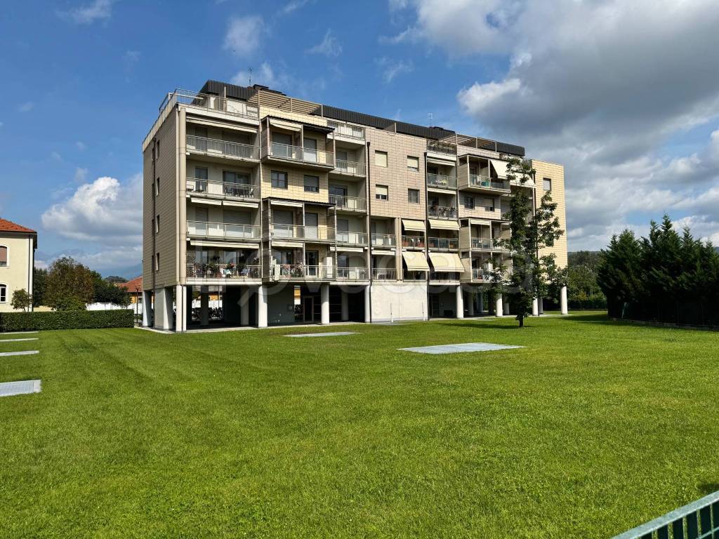 immagine annuncio 5 di 15