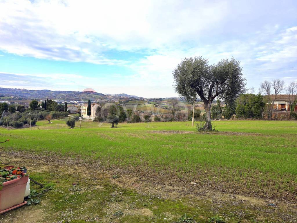 immagine annuncio 8 di 12