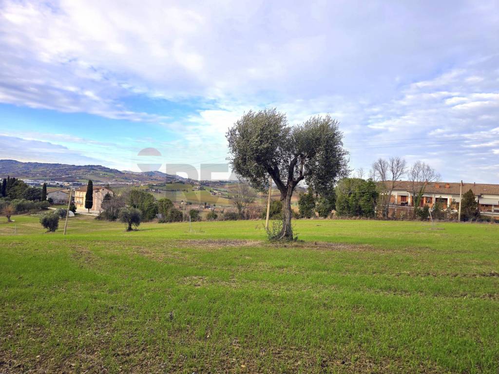 immagine annuncio 10 di 12