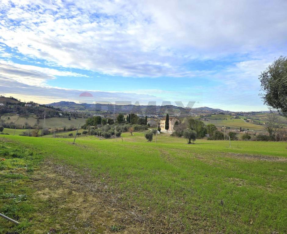 immagine annuncio 11 di 12