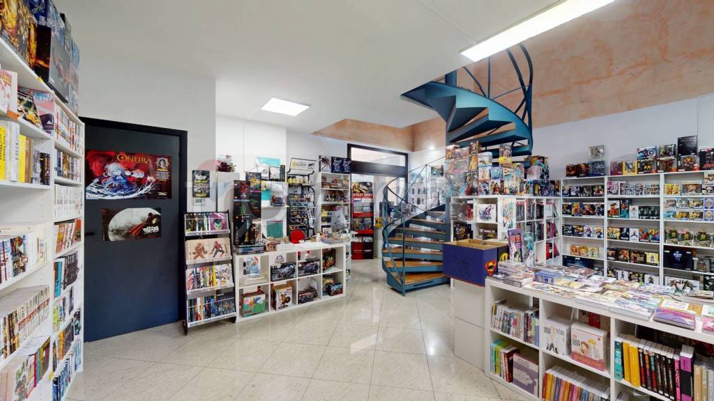 immagine annuncio 3 di 15