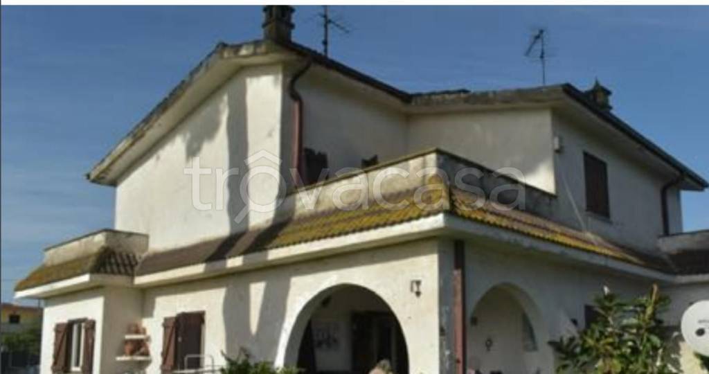 immagine annuncio 10 di 11