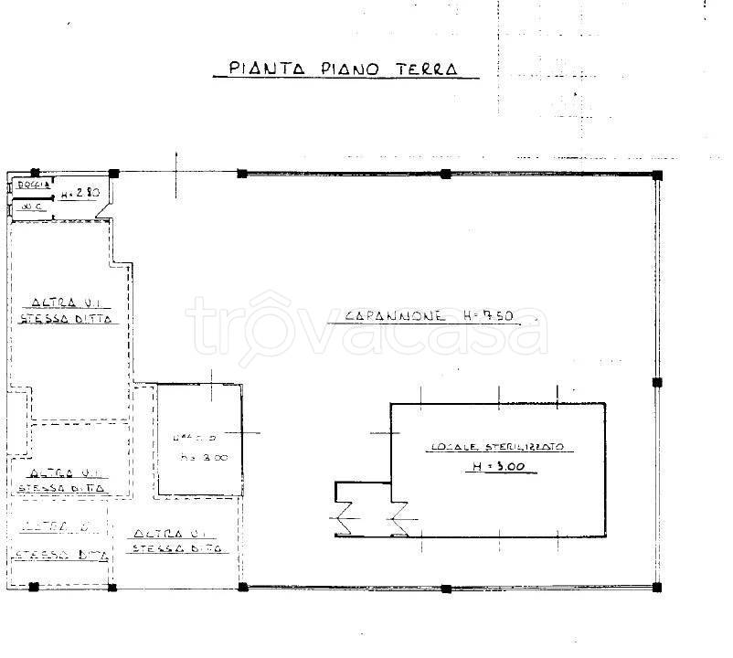 immagine annuncio 10 di 14