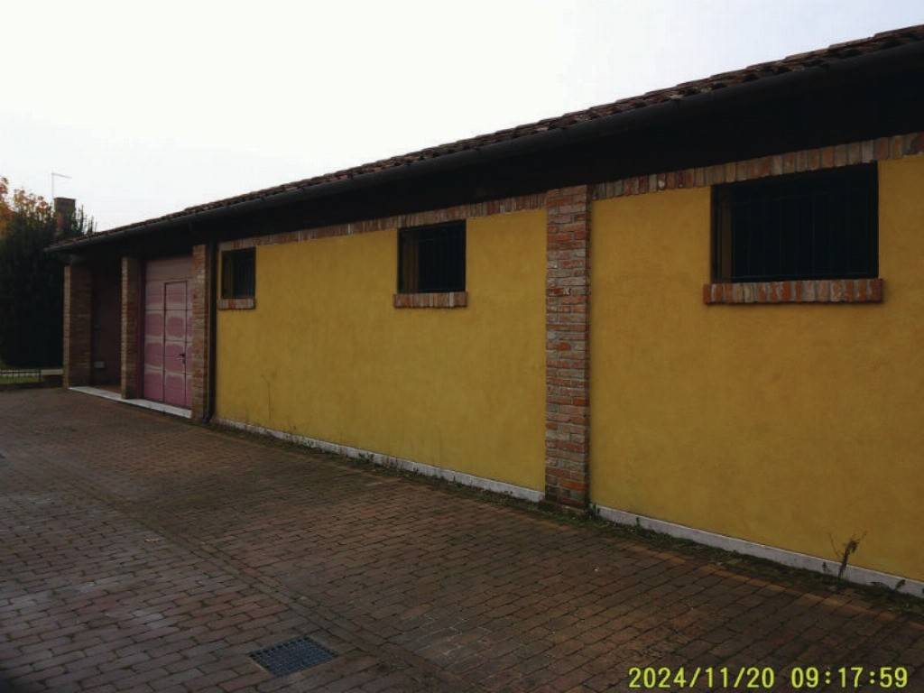 immagine annuncio 2 di 14