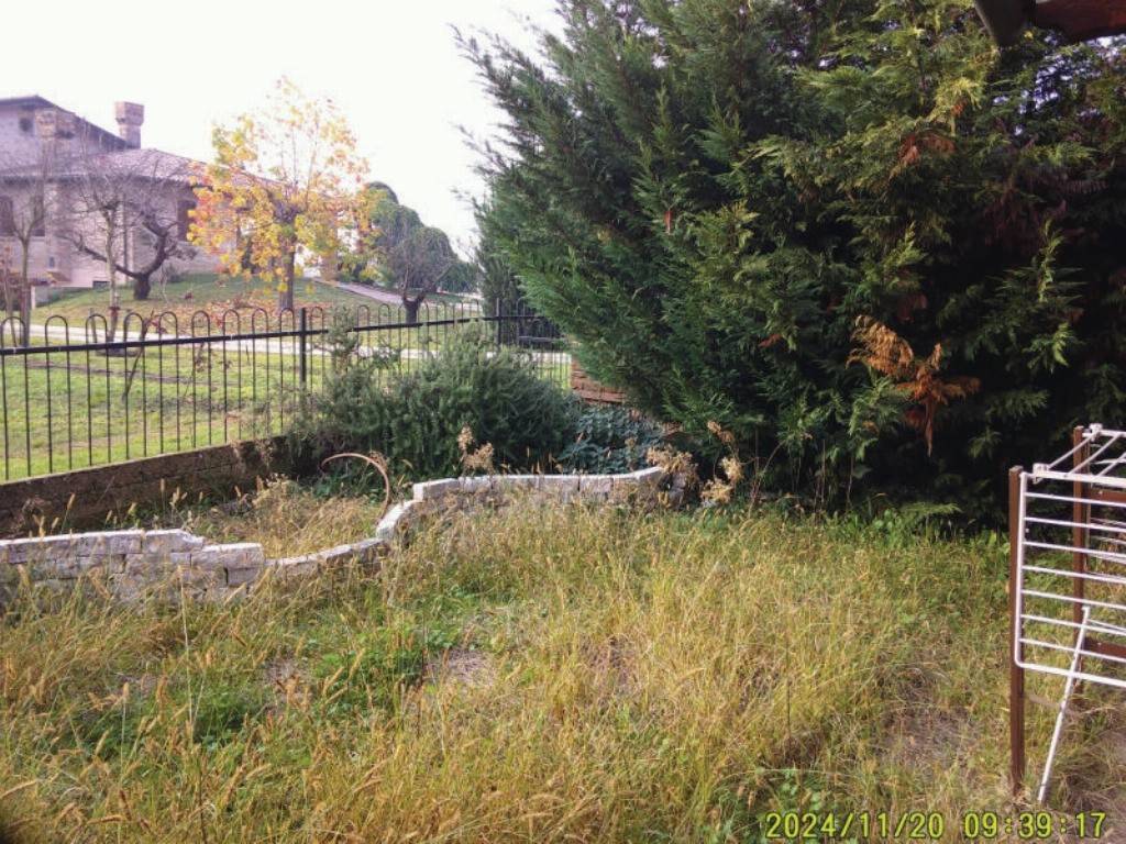 immagine annuncio 9 di 14