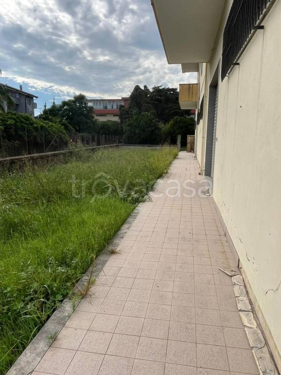 immagine annuncio 4 di 7