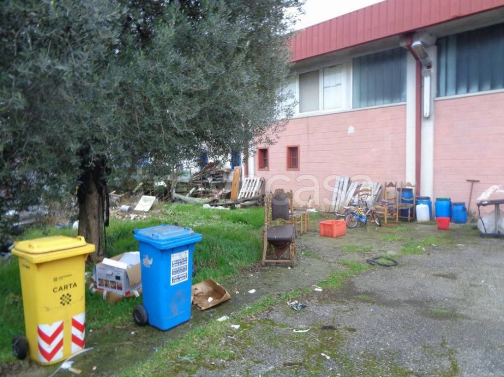 immagine annuncio 6 di 15