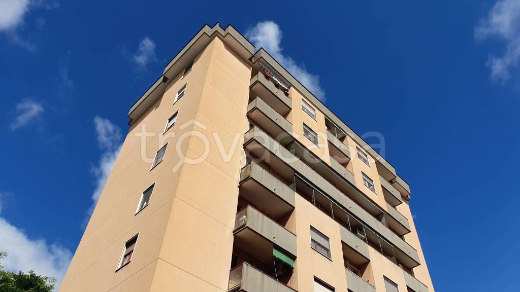 immagine annuncio 6 di 8