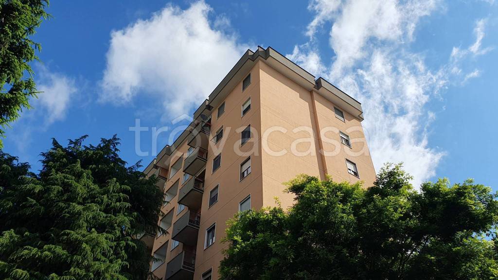 immagine annuncio 7 di 8